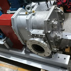 High Pressure Stainless Steel Rotary Lobe Pump With Double Shaft Pump Casing